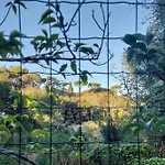 Vatican Garden By Flatinrome * Rome