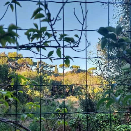 Vatican Garden By Flatinrome * Rom